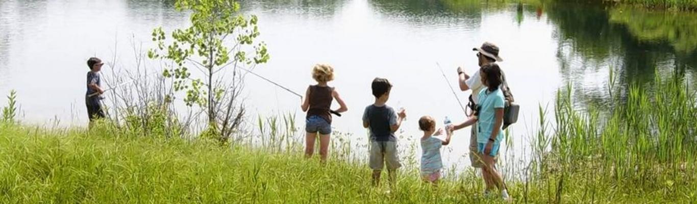 Best Fishing Spots Around The State Of Illinois