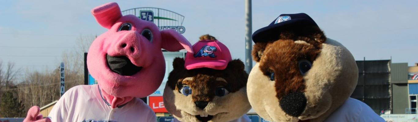 West Michigan Whitecaps 2023 Baseball Schedule Released