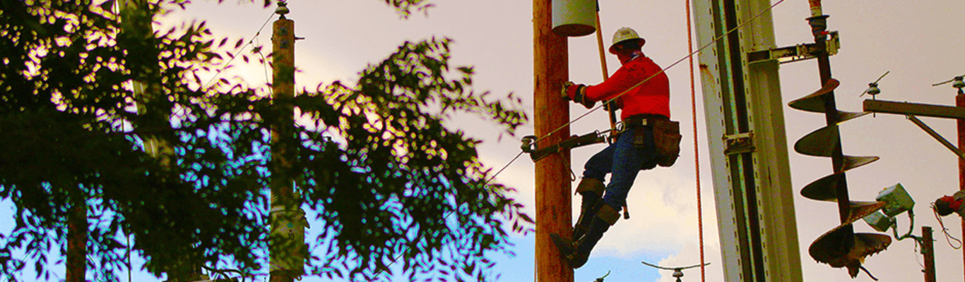 Lineman climbing a pole to fix a powerline
