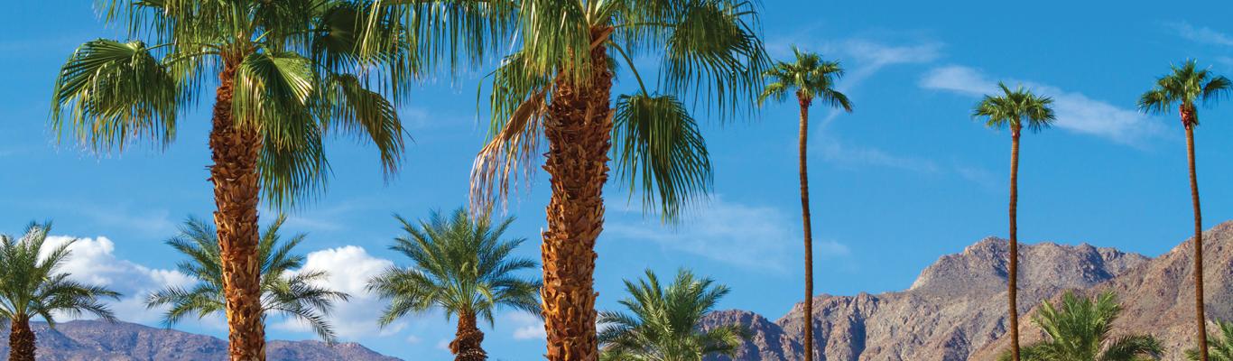 Travel At Ease In Greater Palm Springs Why x mark on palm x mark in hand x mark in. travel at ease in greater palm springs