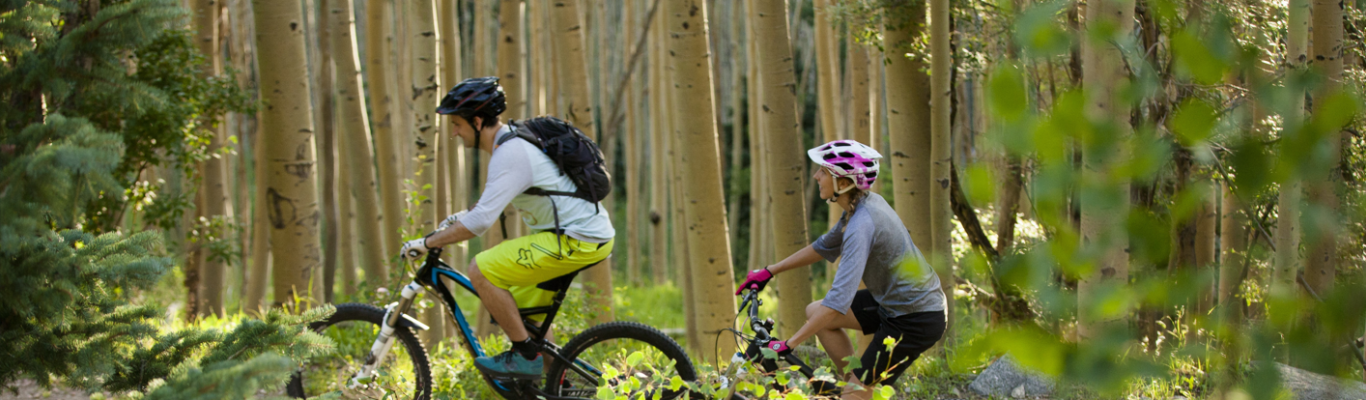 Aspen Vista Biking