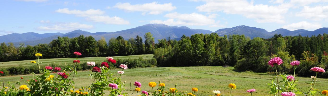 Sugar Hill Mountain View