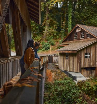 Grist Mill Fall