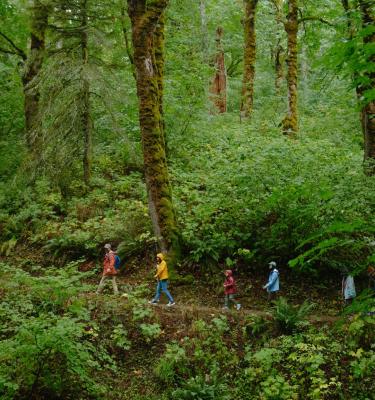Columbia River Gorge_Cape Horn