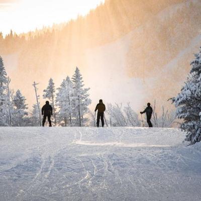 Cross-Country Skiing Cross-Country Skiing