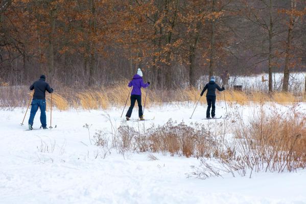 Oak Ridge Prairie Cross Country Skiing