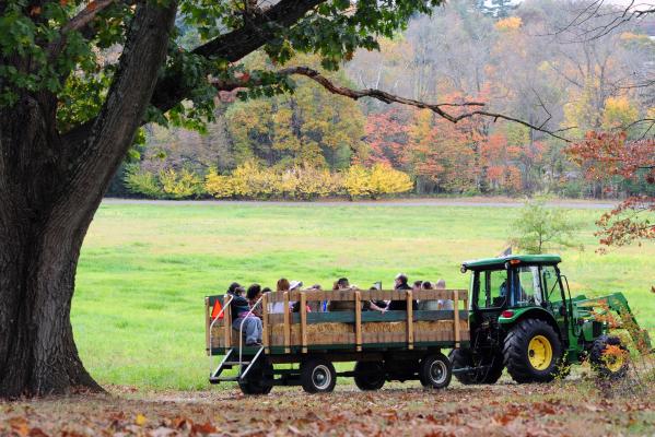 Pennypacker Mills All Hallow's Eve Fall Festival