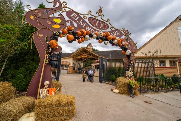 Elmwood Park Zoo entrance in the fall displaying painted pumpkins in an arch