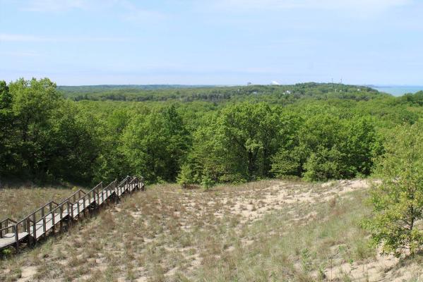 View from Mount Tom Indiana Dunes State Park