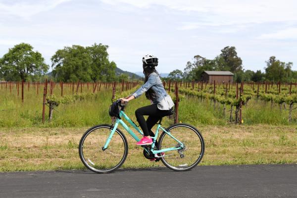 Biking the Napa Valley Vine Trail