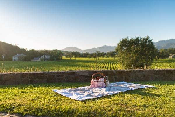 Napa Valley Picnic Best Places