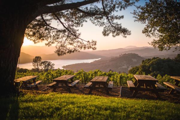 Napa Valley vista overlook at Chappellet Winery