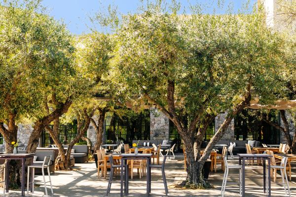 Outdoor Dining at The Grove at Copia