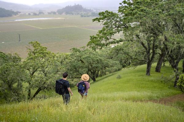 Hiking in Napa Valley