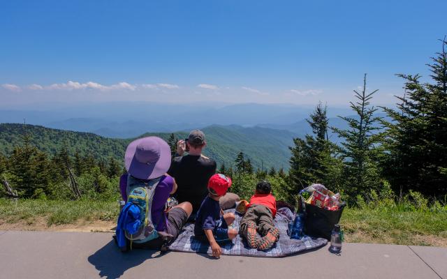 Things To Do With Kids In Gatlinburg