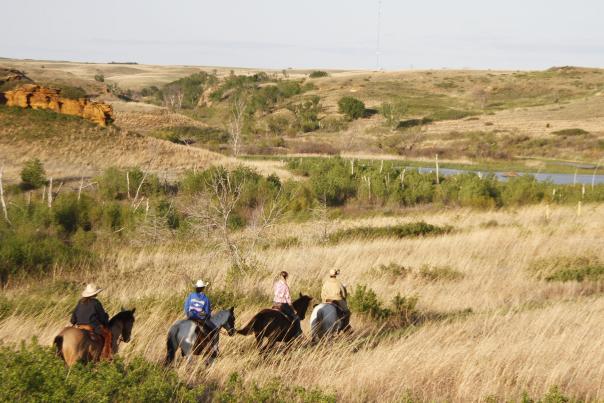 Kanopolis State Park Horseback