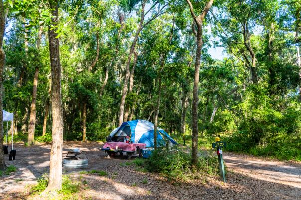 Camping on Jekyll Island