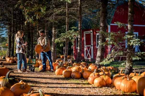 Fall Photo