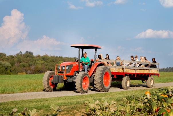 Trax Farms Fall Festival