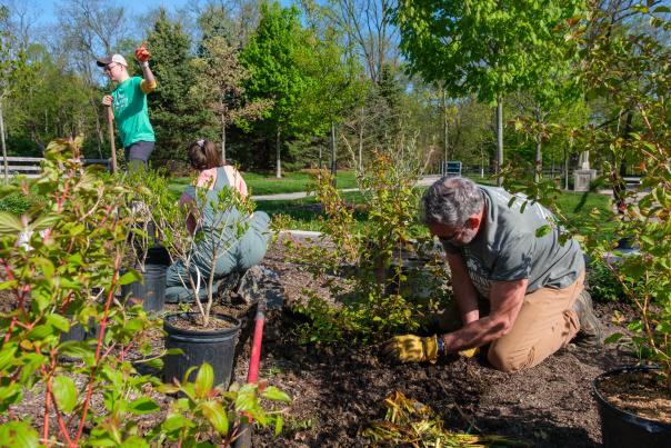 Community Gardens