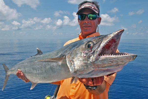 offshore Scott Nixon kingfish.jpg