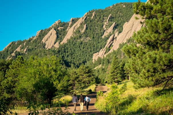 Group hiking with wildflowers at Chautauqua with Flatirons