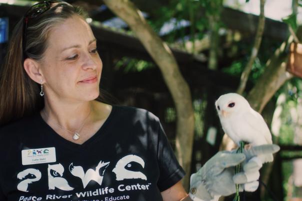 Photo of Callie Stahl, executive director at Peace River Wildlife Center holding rare leucistic screech owl "Luna"