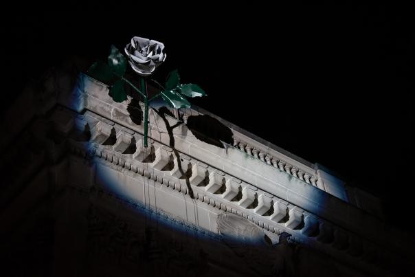 NYE white rose with spotlight at continental square