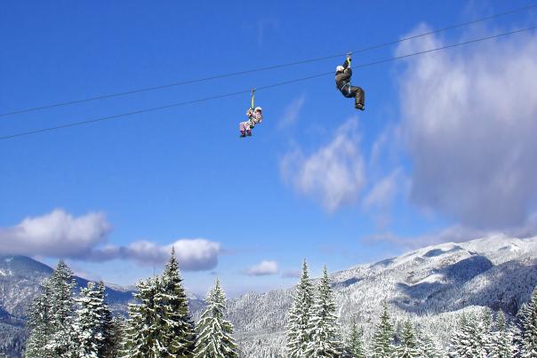 Alpine Adventures - Winter Zipline Tour