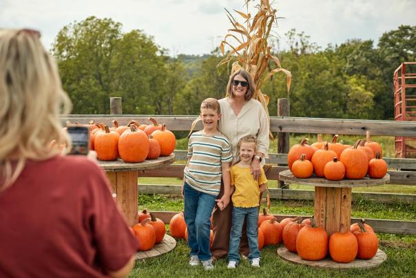 Things to do in the Fall