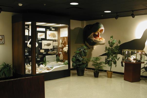 Natural History Museum