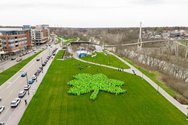 Human Shamrock 3.14.2026