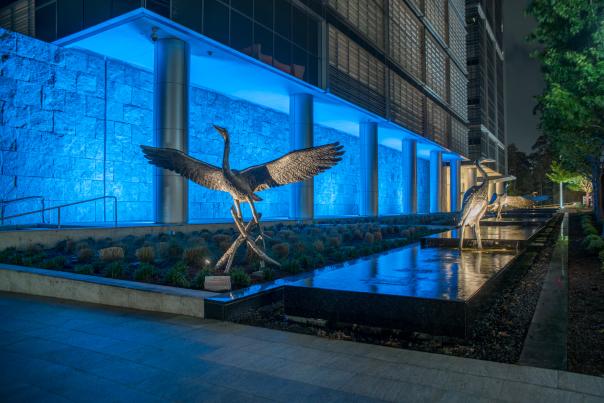 The camera focuses (from a wide angle) on the Heron Creek sculptures at the base of The Woodlands Towers. For GMID, the tower is illuminated with royal blue lights.