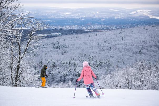 Montage Mountain Winter