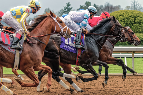 Thoroughbreds racing on a dirt track
