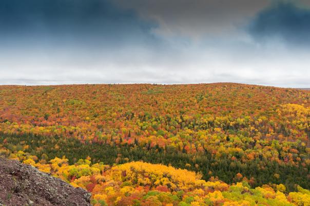 Fall colors at Brockway Mountain