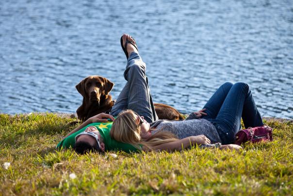 A couple laying in the grass with their dog along the banks of Lake Eola Park in downtown Orlando