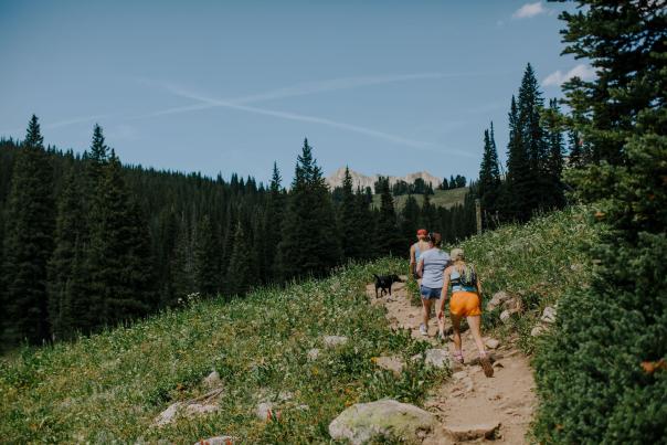 Three hikers and a dog ascend a rocky trail through lush greenery, surrounded by tall pine trees and distant mountain peaks under a clear blue sky.