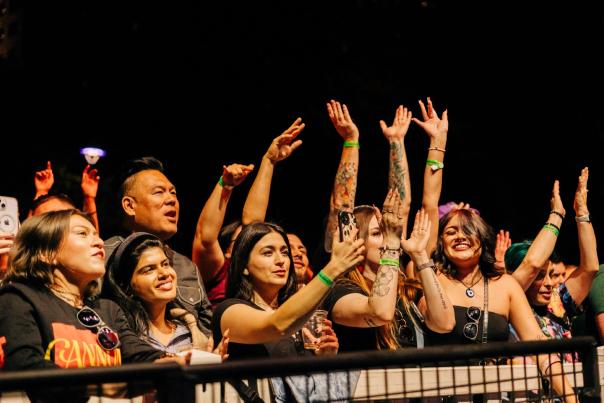 Concert goers dancing and singing with their arms in the air