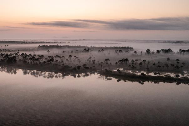 Aerial view of marshes in St. Joseph Bay at sunrise, with mist drifting over the trees and calm water reflecting the soft sky.