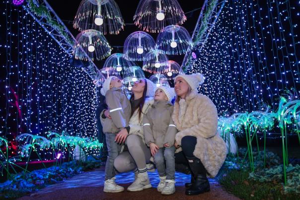 Marwell Glow