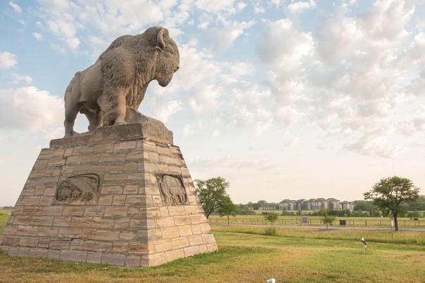 stone buffalo statue