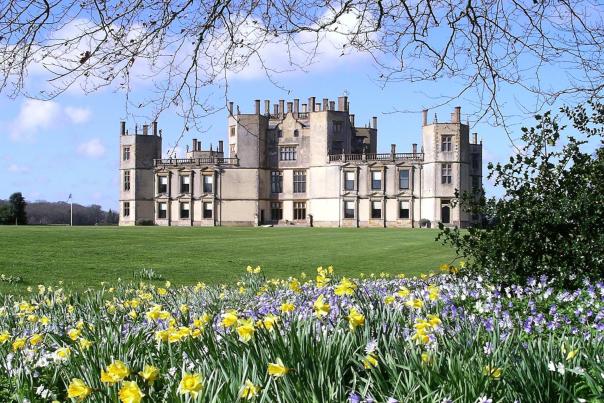 Spring flowers at Sherborne Castle and Gardens in Dorset