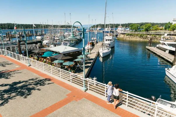 Two people looking over the seawall.