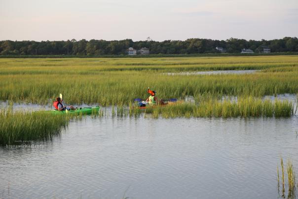 two people kayaking through marsh grasses