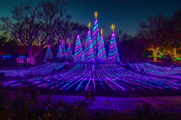 Illuminations blue tree