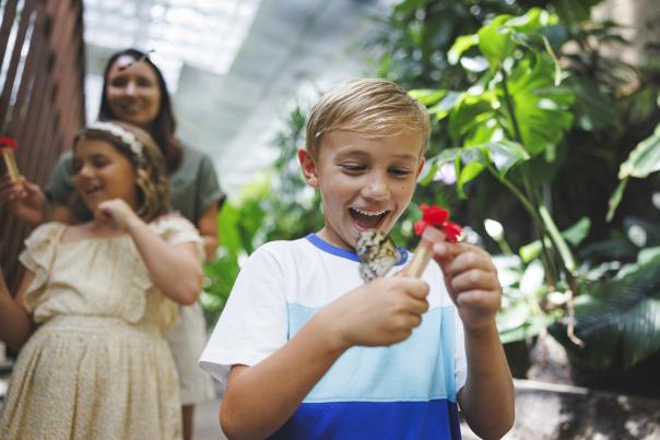 Butterfly Palace Attraction Family Spring Summer
