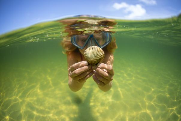 A young girl scalloping in St. Joseph Bay