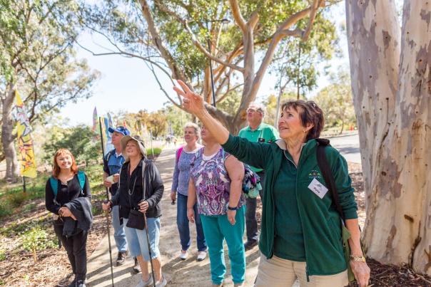 Group on a guided walking through Kings Park