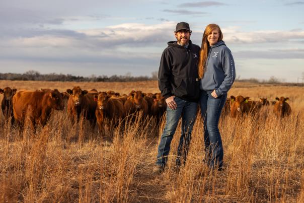 man and woman stand together in a field, cattle are behind them